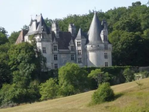 城堡Puyguilhem - 建筑物在Villars