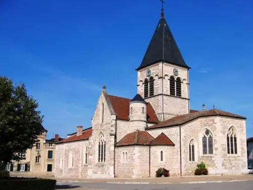 教会のNativité-de-la-Sainte-Vierge - モニュメントのVillars-les-Dombes