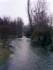 Rivière Indre