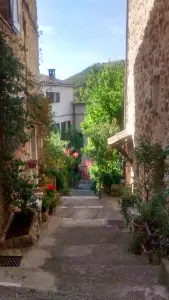 Une ruelle du vieux village
