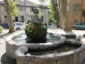 Fontaine moussue, une halte rafraîchissante