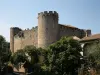 Castelo de Villerouge-Termenès - Monumento em Villerouge-Termenès