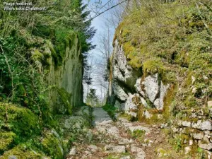 Passage taillé