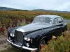 Discover the vineyards in a vintage car