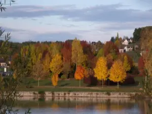 Autumn Landscape