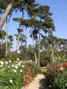 Parc floral