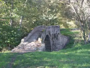 Pont des Anes à Vindrac-Alayrac