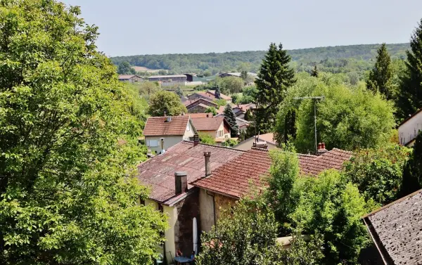 Viviers-le-Gras - Führer für Tourismus, Urlaub & Wochenende in den Vosges