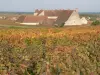 Vougeot - Gids voor toerisme, vakantie & weekend in Côte-d'Or