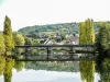 Le pont ferroviaire de Voujeaucourt, vu de l'eurovéloroute (© J.E)