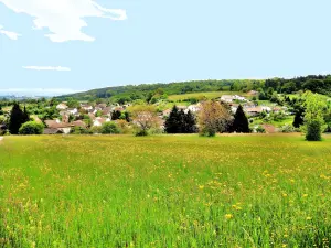 Frühling Panorama (© JE)