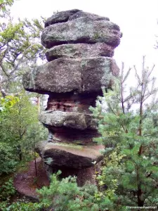 Steinerne Maennel - Rosskopf - Engenthal-le-Haut (© JE)