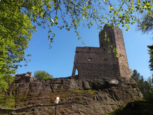 Castello di Wangenbourg - Monumento a Wangenbourg-Engenthal