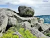 Rocher-boule au Grothkopf (© Jean Espirat)