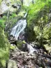 Siehlbaechle waterfall (© JE)