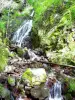 Siehlbaechle waterfall (© JE)