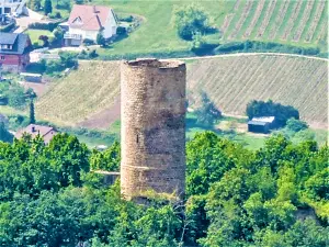 Burchttoren van de Pflixbourg kasteel, gezien vanaf de loopbrug (© JE)