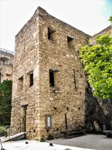 Stortbaktoren van de Hohlandsbourg (© JE)