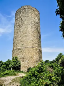 Donjon de 44 mètres de hauteur (© J.E)