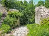 Castello del Pflixbourg - Monumento a Wintzenheim