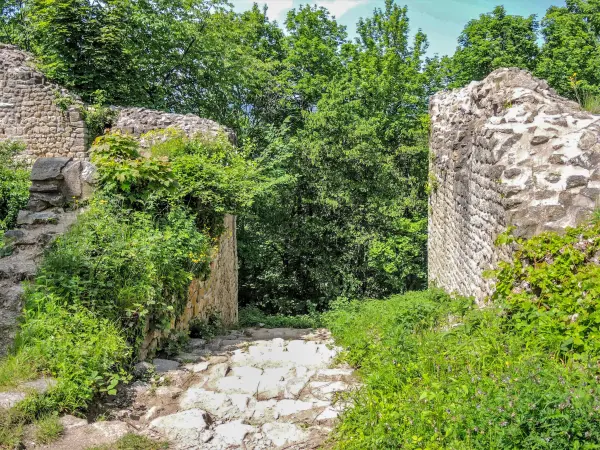 Château du Pflixbourg - Monument à Wintzenheim