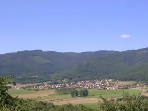 Wintzfelden