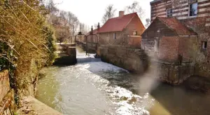 Moulin de Witternesse