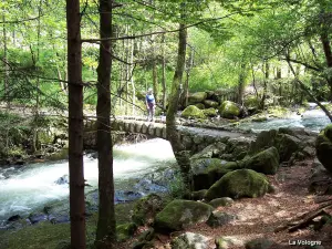 Ruisseau la Vologne, видно вверх по течению от озера, которое оно питает (© J.E)