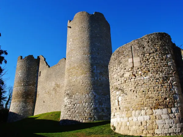 Remains of the castle