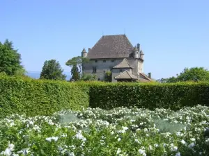 Vue sur le château, avec un tapis de roses blanches parfumées dans le jardin des Cinq Sens