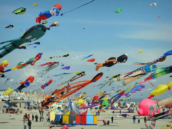 Das Internationale Drachenfestival in Dieppe - Ereignis in Dieppe
