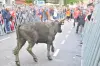 Die Oster-Feria - Ereignis in Arles