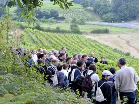 Vignes, Vins et Randos en Val de Loire - Évènement à Nantes