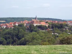 Panorama sobre Flavigny (© Jean Espirat)