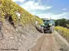 Thann - pendenza del vigneto, a volte superiore a 45 gradi ! (© Jean Espirat)