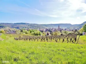 Dietro le vigne, la città di Arbois (© Jean Espirat)