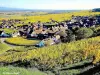 Vignoble de Gueberschwihr (© Jean Espirat)