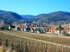 Vignoble de Riquewihr (© Jean Espirat)