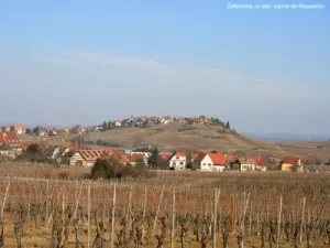 Zellenberg gesehen Weinberge Riquewihr (© Jean Espirat)