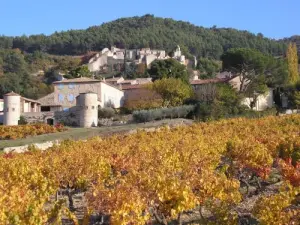 Ansicht Gigondas, Weinbergen und Clos Turrets