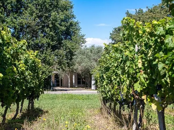 Au détour des vignes - Hôtel vacances & week-end à Ordonnac