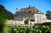 Castel de Très Girard - Teritoria - Holiday & weekend hotel in Morey-Saint-Denis