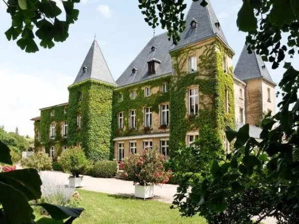 Château d'Adomenil - Holiday & weekend hotel in Rehainviller