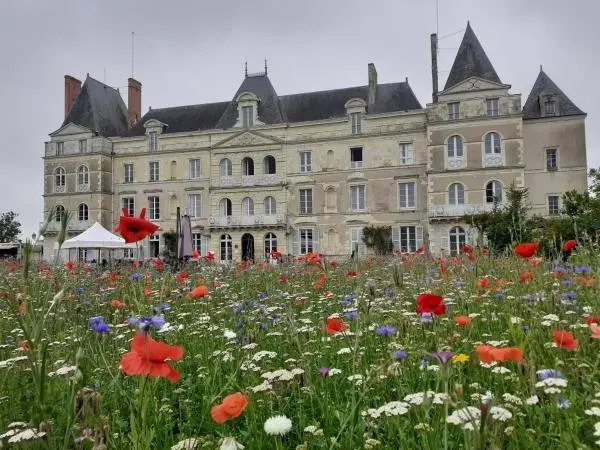 Chateau de Briançon - Hotel de férias & final de semana em Loire-Authion
