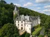 Chateau de Chissay - Отель для отдыха и выходных — Chissay-en-Touraine