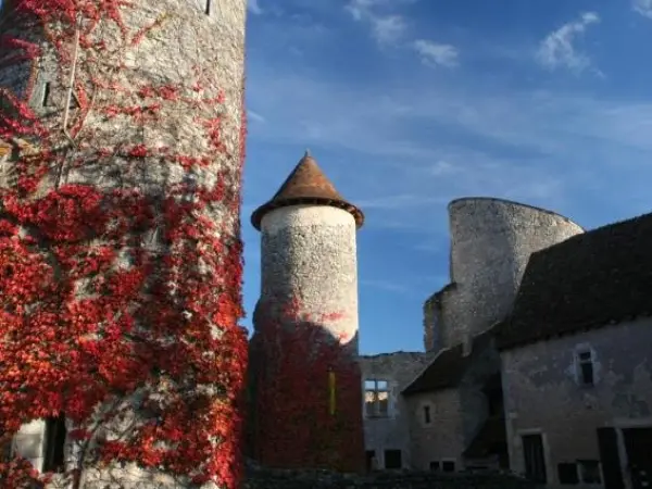 Chateau d'Ingrandes - Holiday & weekend hotel in Ingrandes