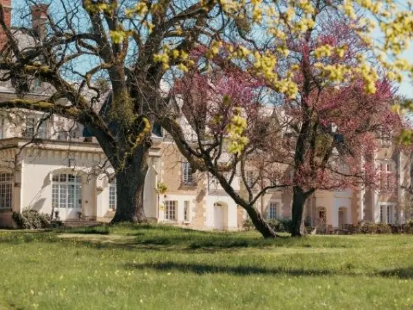 Château De Razay - Hotel vakantie & weekend in Céré-la-Ronde