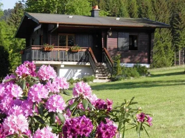 Gîte Ban-sur-Meurthe-Clefcy, 3 pièces, 4 personnes - FR-1-589-150 - Hotel Urlaub & Wochenende in Ban-sur-Meurthe-Clefcy