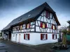Gîte Les Sabots de Paille, Alsace Haut-Rhin - Hotel de férias & final de semana em Ballersdorf