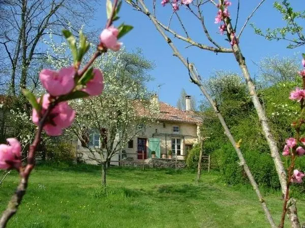 Gîte Seigneulles, 4 pièces, 5 personnes - FR-1-585-33 - Hotel vakantie & weekend in Seigneulles